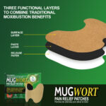 IMG-20230828_185942_800x